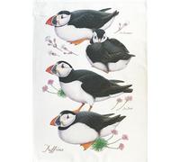 Half a Donkey The Puffins large cotton tea towel