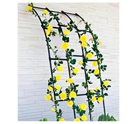 Half Arch Metal Trellis for Climbing Plants, Outdoor Wall Mounted Support for Flowers, Half Side Garden Arch Trellis, Easy Assembly, for Lawn Arbor Patio Backyard