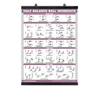 Half Balance Ball Workout Poster - Exercise Chart (LAMINATED WITH PLASTIC FRAME, 18" x 24")