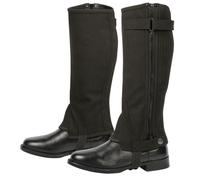 Half Chaps Harry's Horse Amara