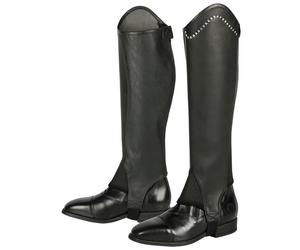 Half Chaps Harry's Horse Asteroid