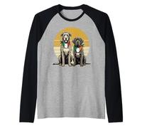 Half Italian Half Irish Dog Flags Cane Corso Wolfhound Raglan Baseball Tee