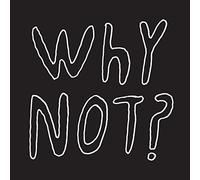 HALF JAPANESE - WHY NOT - Vinyl Record VL - N3447z