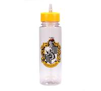 Half Moon Bay | Harry Potter | Hufflepuff | Water Bottle with Straw | 700ml Capacity | Plastic Kids Drinks Bottle for School