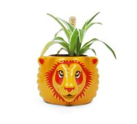 Half Moon Bay - Ceramic Indoor Plant Pot - Harry Potter Gryffindor (Lion)