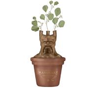 Table Top Vase Shaped - Harry Potter (Mandrake) - Harry Potter Table Top Vase - Harry Potter Gifts - Harry Potter Merchandise - Ceramic Vase - Cute Gifts