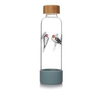RSPB - Water Bottles - RSPB Glass Water Bottle - Swallows