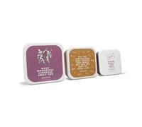 Half Moon Bay Charlie and the Chocolate Factory - Roald Dahl - Multicolor 5.3 x 2.4 Inch BPA-Free Plastic Snack Boxes with Lids; Set of 3