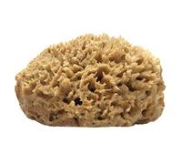 Half Natural Sea Sponge With Flat side for Painting, Artists, Decorating, Texturing, Sponging, Marbling, Faux Finishes, Crafts & More - strong and durable - 100% Natural & Organic - Hypoallergenic