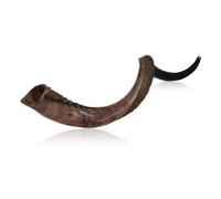 Half Polished Half Natural Kudu Horn Shofar
