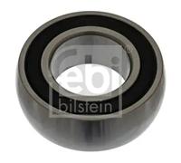 Ferdinand Bilstein Intermediate Driveshaft Bearing 21007 – Pack of 1