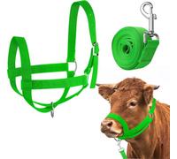 Halft cattle -held -be adjustable calf -halter with a guide for miniature donkeys donkey goat foal nylon beef halter training needsGreen,S