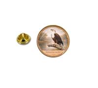 Haliaeetus vocifer African Fisherman Eagle Bird Brooch Pin Badge
