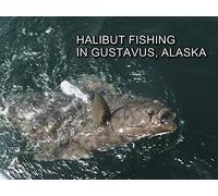 Halibut Fishing in Gustavus, Alaska