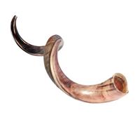 HalleluYAH Original Kosher Half-Polished Kudu Shofar From ISRAEL