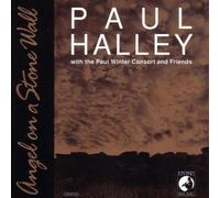 Halley Paul - Angel on a Stone Wall
