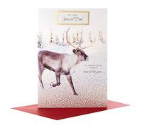 Hallmark 25499089 Special Dad Medium Christmas Card "Happiest Time Of Year"
