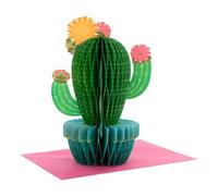 Hallmark 3D & Pop Up Any Occasion Card, Honeycomb Cactus Design, Kids, For Him, For Her, Birthday, Celebration, Mothers Day, Green, Blue, Pink, Yellow