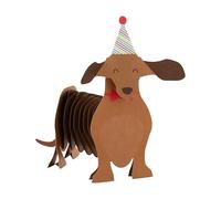 Hallmark 3D & Pop Up Birthday Card, Cute Sausage Dog Design, Birthday Wishes, Colourful