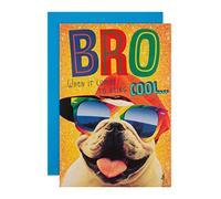 Hallmark Birthday Card for Brother - Funny Mad as Cheese Top Dog Design