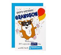Hallmark Birthday Card for Grandson, Funny, Humour, Pop Up Design, Dog Illustration, White, Brown, Blue