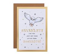Hallmark Birthday Card - Harry Potter Hedwig Owl & Letter Design