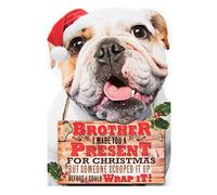 Hallmark Brother Christmas Card 'Funny Dog' - Medium