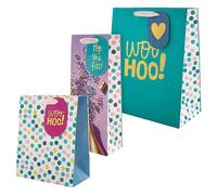 Hallmark Gift Bags, Pack of 3 in Medium, Large and Bottle sizes, 3 Bright Multicoloured Designs, Birthday, Celebration, Congratulations, Anniversary, Green, Pink, White, Yellow