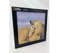 Hallmark Charity Christmas Cards from Pack of 16 in 2 National Geographic Polar Bear & Penguin Photographic Designs
