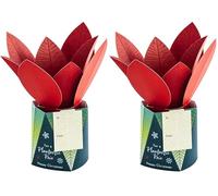Hallmark Christmas Card for Both - Contemporary 3D Pop-Up Plant Design (Pack of 2)