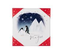 Hallmark Christmas Card, Multipack Christmas Cards, Pack of 10, 2 Designs, Arctic Wonderland, Charity Christmas Cards, With Envelopes