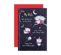 Hallmark Christmas Card, Wife Christmas Card, Cute Owl Designs, Gold Foil Details, Navy