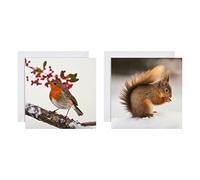 Hallmark Christmas Cards - Pack of 16 in 2 National Geographic Designs, 25572278