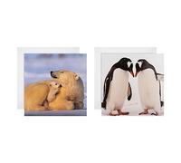 Hallmark Christmas Cards - Pack of 16 in 2 National Geographic Designs, 25572277