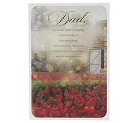 Hallmark Dad Father's Day Card You Mean a Lot - Medium