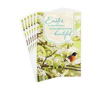 Hallmark DaySpring Pack of Religious Easter Cards Goodness of God (6 Cards with Envelopes)