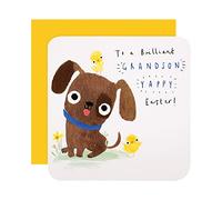 Hallmark Easter Card for Grandson, Cute Easter Card, Dog & Chicks Design, Brown, Yellow, White