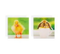 Hallmark Easter Card Multipack, Baby Chicks & Rabbit Design, 10-Pack | Cute Easter Cards, Green, Yellow, White, Recyclable, 13.1cm, White Envelopes, Supports Barnardo's