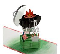 Hallmark Fathers Day Card for Dad, 3D Fathers Day Card, Barbeque, Grill, Grill Master, Barbeque King, Green, White, Red