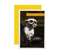 Hallmark Fathers Day Card, Funny Fathers Day Card, Photographic Dog in Sunglasses, Studio Ink, Dad, Grandad, Step Dad