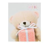 Hallmark Forever Friends Birthday Card "Wish Big" - Small [Old Model]