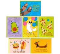 Hallmark Funny Birthday Card Assortment (24 Blank Cards with Envelopes) Food Puns, Dog, Bird, Otters