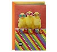 Hallmark Funny Musical Easter Card for Kids, Chicks in Sunglasses (Plays The Chicken Dance)