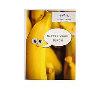 Hallmark General Thank You Cards - Pack of 5 in 1 Funny Design