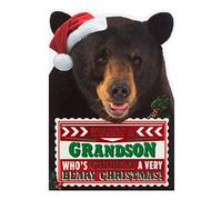 Hallmark Grandson Christmas Card 'Very Beary' - Medium