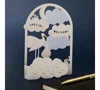 Hallmark Hall & Co New Baby Card 3D & Pop Up Special Delivery Design | For Girl or Boy, Birth, White Stork Design, Gold Foil Details, Keepsake, Fully Recyclable, Measures 17.3cm by 11.9cm
