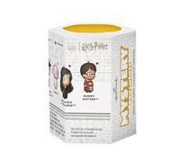 Hallmark Harry Potter Set 2 Mystery Christmas Ornaments, Shatterproof, Set of 2