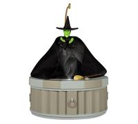 Hallmark Keepsake Christmas Ornament 2025, The Wizard of Oz I'm Melting! I'm Melting! with Light, Sound and Motion, Movie Gifts