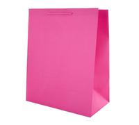Hallmark Large Multi-Occasion Gift Bag - Plain Hot Pink