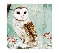 Hallmark Medium Gallery "Owl" Blank Card